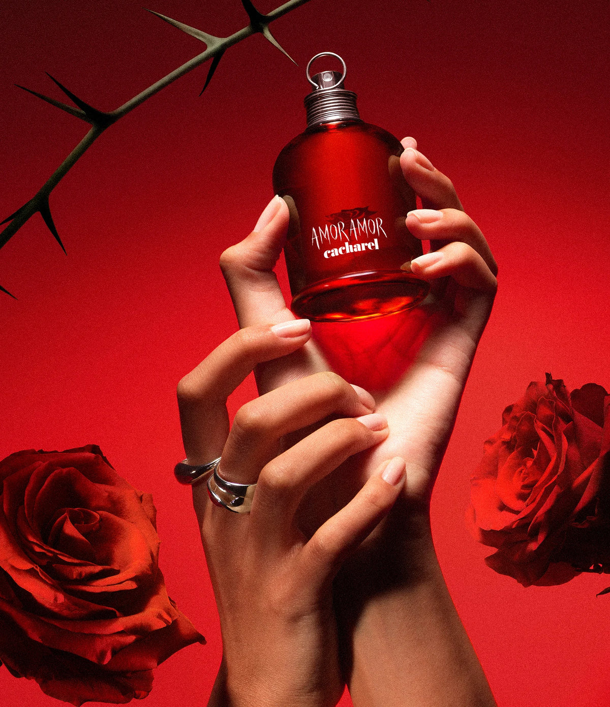 Amor Amor Cacharel feminino eau de toilette 100ml