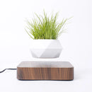 Vaso para plantas flutuante