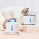 Fonte de água automático para gatos - Loja Easy Express