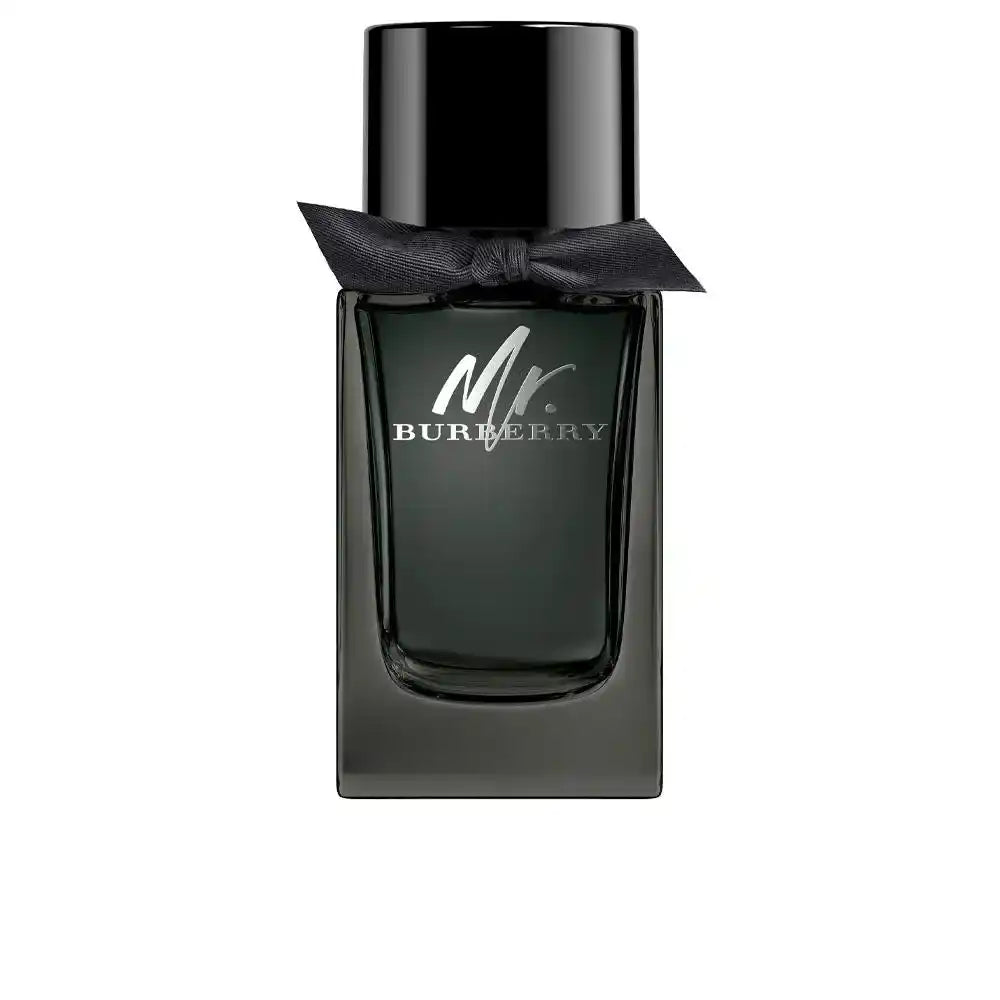 Mr Burberry masculino eau de parfum 100ml