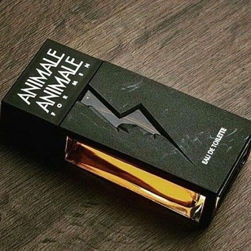 Animale Animale masculino 100ml EDT