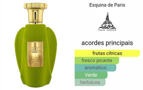 Perfume Paris Corner Emir Voux Zingy EDP Unissex 100ml