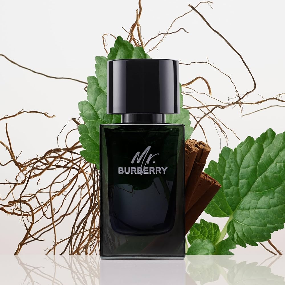 Mr Burberry masculino eau de parfum 100ml