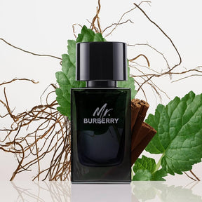 Mr Burberry masculino eau de parfum 100ml