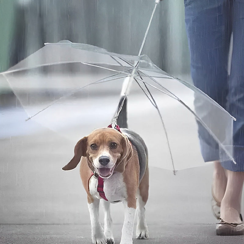 Guarda-Chuva Invertido para Pet