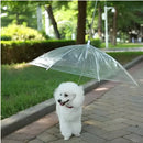 Guarda-Chuva Invertido para Pet