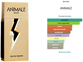 Animale Gold Masculino - Eau de Toilette 200ml