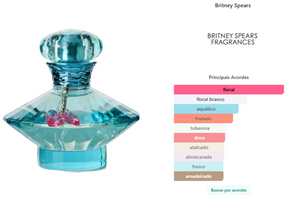 Britney Spears Curious Eau de Parfum Feminino 100ml
