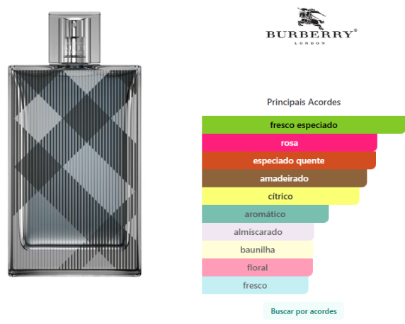 Brit for Him Burberry Masculino Eau de Toilette 100ml