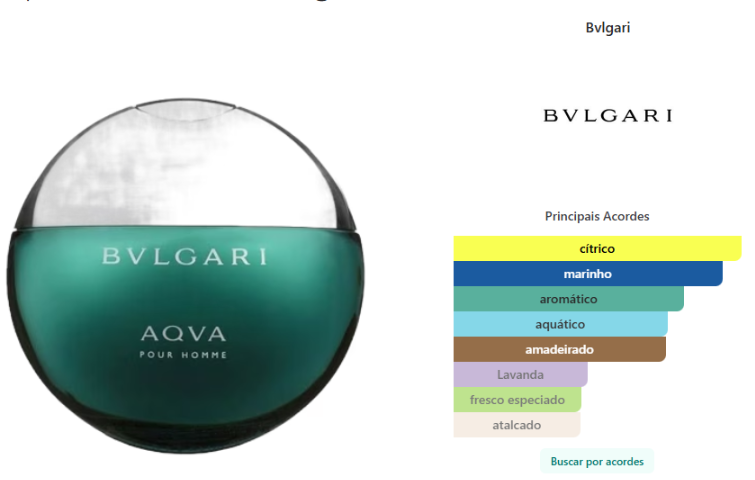 Bvlgari Aqva pour homme masculino eau de toilette 100ml