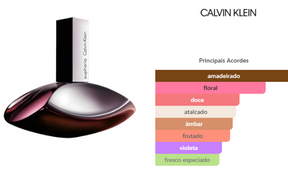Calvin Klein Euphoria feminino eau de parfum 100ml