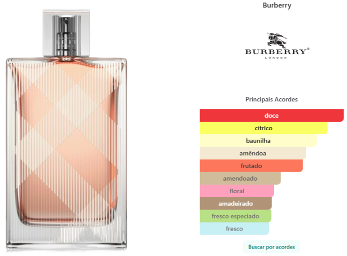 Brit For Her Burberry Feminino Eau de Toilette 100ml