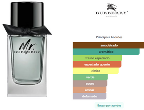 Mr Burberry masculino eau de parfum 100ml