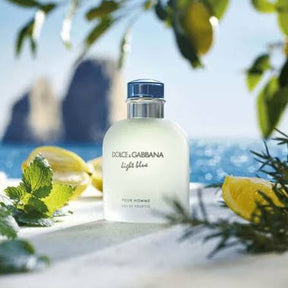 perfume dolce&gabbana light blue pour Homme masculino eau de toilette 100ml