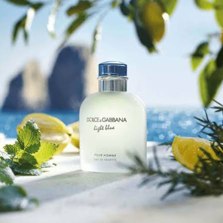 perfume dolce&gabbana light blue pour Homme masculino eau de toilette 100ml