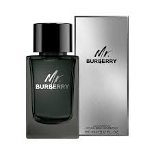Mr Burberry masculino eau de parfum 100ml