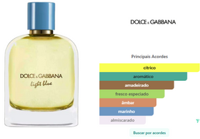 perfume dolce&gabbana light blue pour Homme masculino eau de toilette 100ml