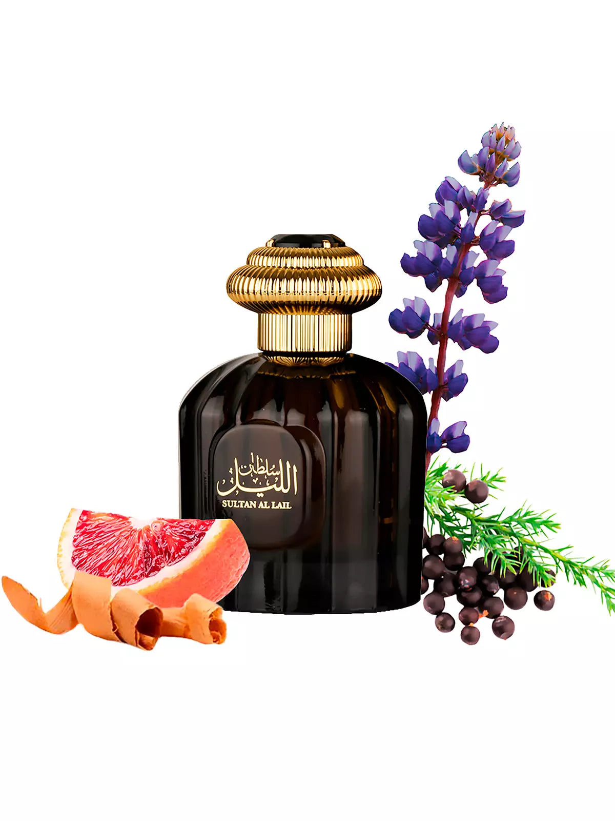 Sultan Al Lail Al Wataniah Masculino - Eau de Parfum 100ml