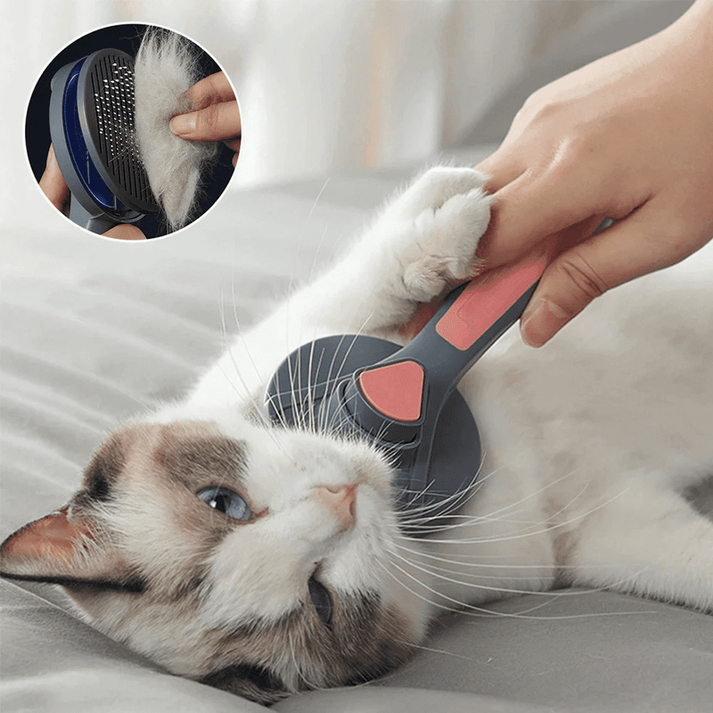 Escova Removedora de Pelos para Pets - Loja Easy Express